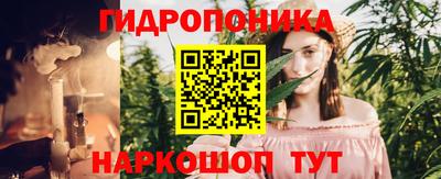 ешки Краснодар