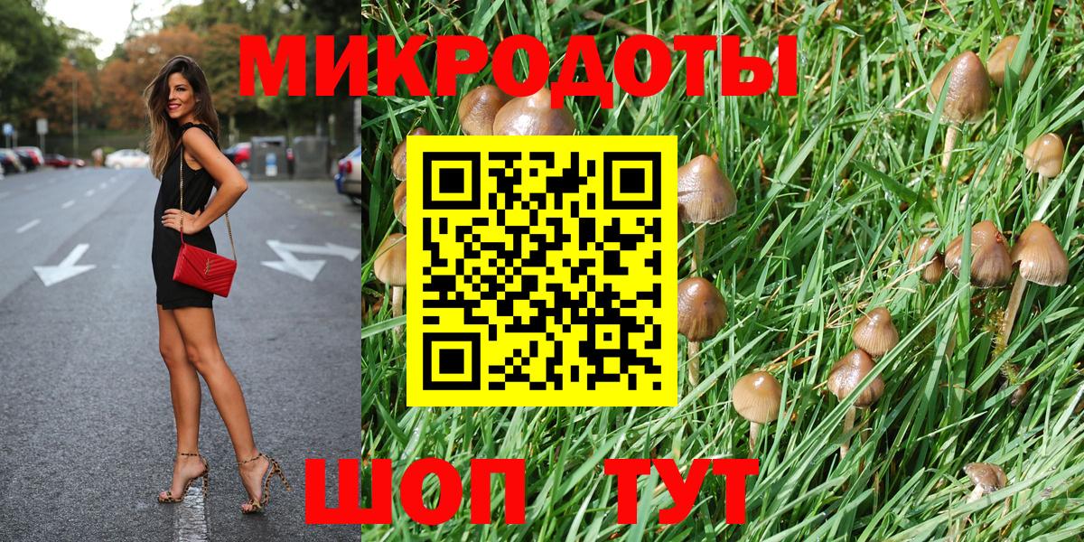 Удомля  Псилоцибиновые грибы Magic Shrooms  Псилоцибиновые грибы мухоморы  Вход с VPN 